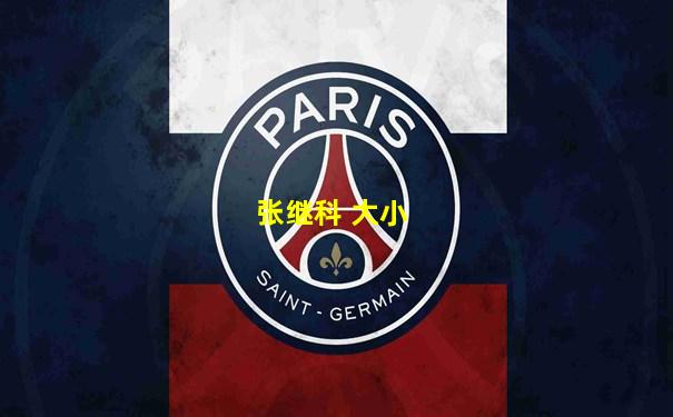张继科 大小